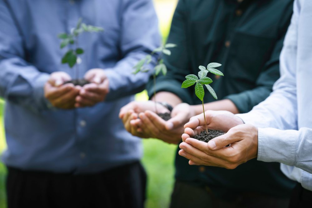 callimedia-environnement