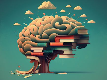 Blog Neurosciences Et Pedagogie