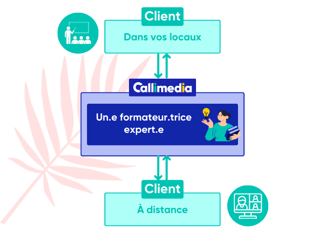 Organisation Formation