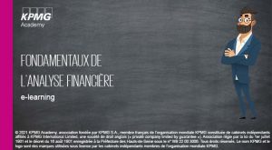 Visuel Finance Gestion Maitriser Les Fondamentaux De Lanalyse Financiere