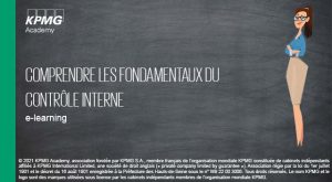 Visuel Comprendre Les Fondamentaux Du Controle Interne