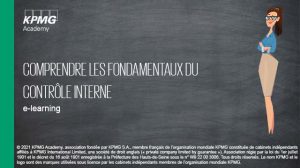 Visuel Comprendre Les Fondamentaux Du Controle Interne